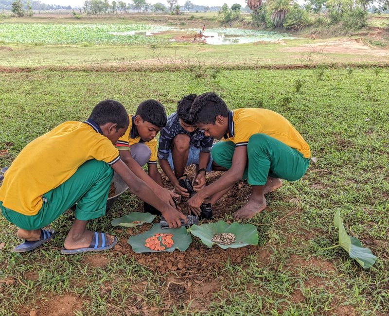 PXL_20230524_035622563