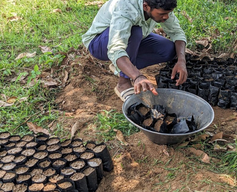 PXL_20230530_045444397